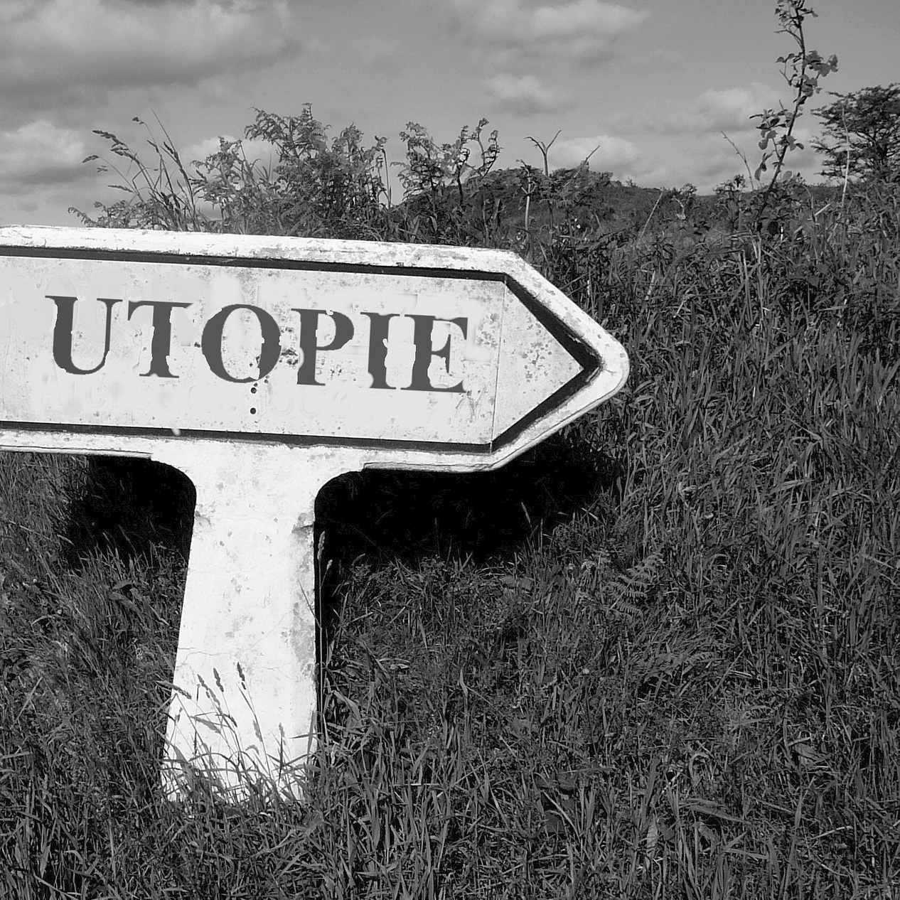 Gestalten f&uuml;r die kommende Gemeinschaft